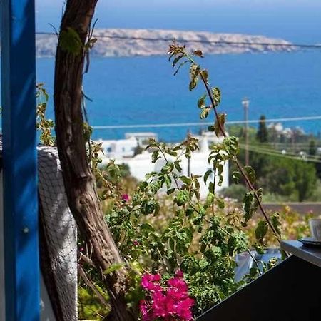 Aloe Paros Suites And Studios Drios Buitenkant foto