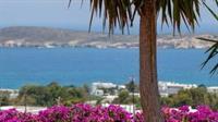 Aloe Paros Suites And Studios Drios Buitenkant foto