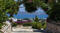 Aloe Paros Suites And Studios Drios Buitenkant foto